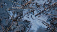 Close-up Pan Of Thin Twigs Lying In Still Pool Of Water In Nature