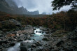 Stream in Torres del Paine National Park in Autumn. Patagonia, Chile