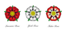 English Rose Emblem