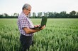 © Serhii - Portrait of senior farmer standing in green wheat field.