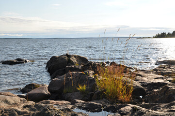 Rocky coastline