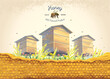 Bee apiary with honeycomb in the foreground and  illustration of a bee as a design element.