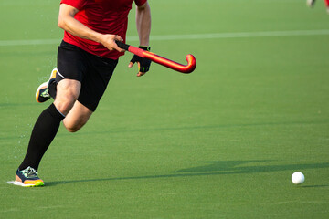 Wall Mural - Field hockey player on artificial grass play field.