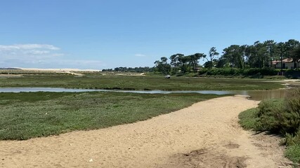 Sticker - Plage et marais du Cap Ferret, Gironde