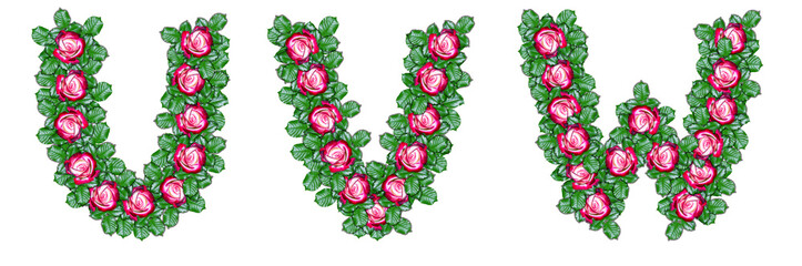 Wall Mural - Letters U, V, W made of red roses and green leaves