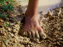 Male Foot On Mud Presented Agriculture Concept.
