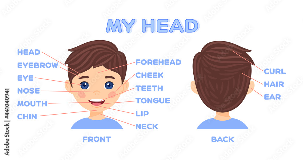 My face parts and pretty cartoon boy. Front and Back view head ...