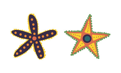 Poster - Starfish or Sea Star as Asteroidea Marine Specie from Ocean Bottom Vector Set
