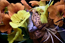 Orange And Yellow Flowers, Close-up, Texture Of Buds And Petals, Lilies And Nasturtiums On A Dark Background.