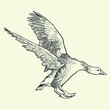 Vintage hand drawn spread wings goose