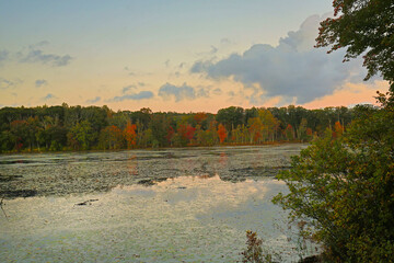 Wall Mural - Twilight on a pond in Goodwin State Forest, Connecticut.