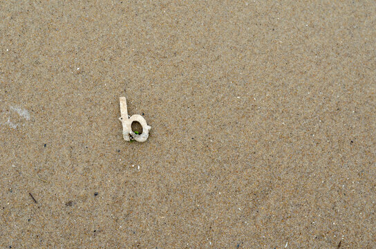 The letter B on the wet yellow sand. The white plastic letter is