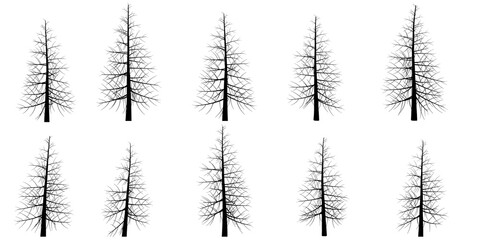 Poster - Set with silhouettes of trees isolated on white background. Vector illustration