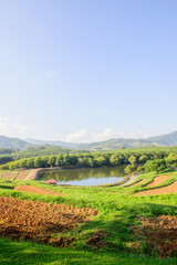 Canvas Print - Beautiful Park in Chiang Rai Province