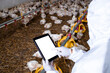 © littlewolf1989 - Farmer in sterile clothing holding tablet computer at poultry farm and checking production and food supply.
