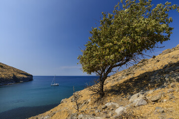 Wall Mural - Bay on the west coast of the small Greek island of Agios Efstratios in the North Aegean