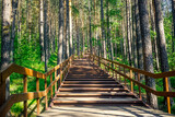 Fototapeta Dziecięca - Wooden staircase in the forest of the Krasnoyarsk Pillars Reserve