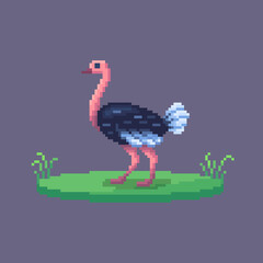 Wall Mural - Pixel art ostrich. Farm animal for game design.