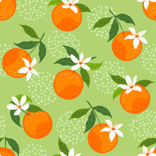 Abstract Seamless Pattern With Orange Fruits, Flowers And Leaves. Vector Illustration.