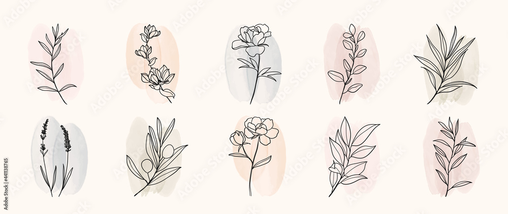 Minimal botanical hand drawing design for logo and wedding invitation. Floral line art.  Flower and leaves on watercolour background design collection for bouquets decoration, invite, packaging design - obrazy, fototapety, plakaty 