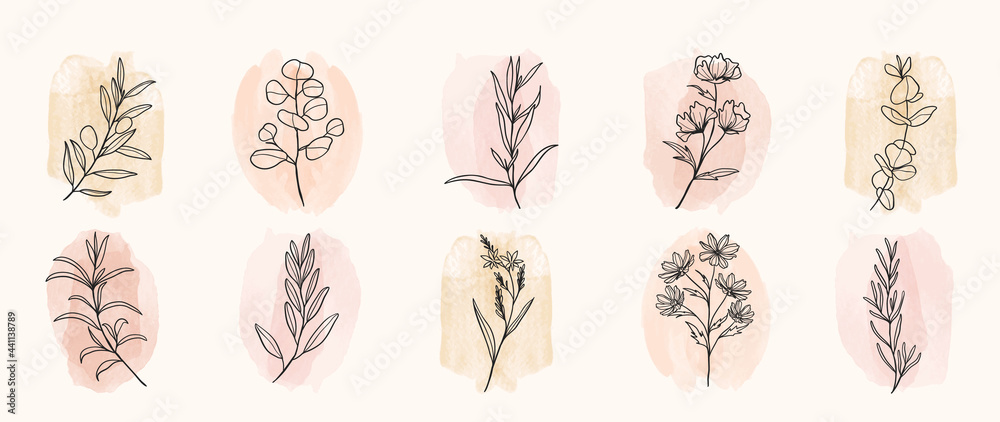 Minimal botanical hand drawing design for logo and wedding invitation. Floral line art.  Flower and leaves on watercolour background design collection for bouquets decoration, invite, packaging design - obrazy, fototapety, plakaty 