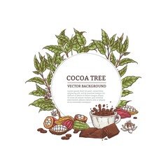 Wall Mural - Cacao tree frame with leaves and fruits engraving vector illustration isolated.