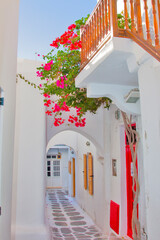 Wall Mural - Greece Mykonos island, bougainvillea pergola