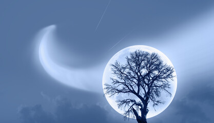 Aufkleber - Lone dead tree with super full blue Moon and Comet in the sky 
