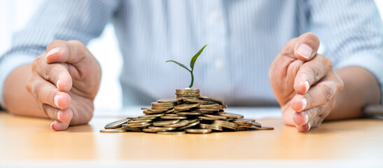 Asian businessman hand protecting plant sprouting growing on pile of coins on the table while saving money