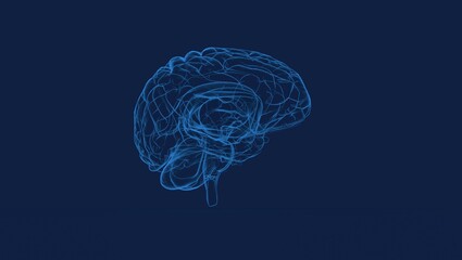 Sticker - Creative background, the human brain on a blue background, the hemisphere is responsible for logic, and responsible for creativity. of different