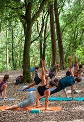 Wall Mural - Doing yoga in the woods. Women in harmony with nature.