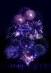 Wall Mural - Beautiful fireworks in night sky