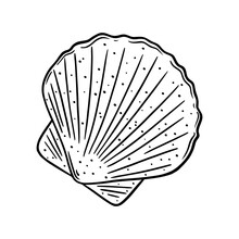 Scallop Shell Logo. Mediterranean Seashell Sketch. Vector Illustration Isolated In White Background