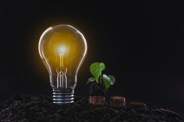 light bulb with plants and coins on black scene Ideas to save energy and save money and investment.