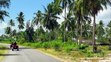 Quad Bike Ride On A Tropical Island Among Beautiful Tall Palms On A Sunny Day.