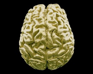 Aufkleber - 3D illustration of the golden human brain, front view.