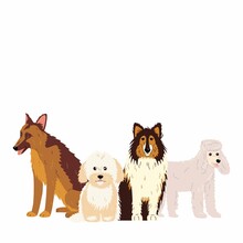 Illustation Of Pet Grooming For Content, Banner, Graphic And Web. Vector Illustration Of Various Breeds Of Dogs, Such As Mini Poodle, Collie, German Shepherd Dog And Maltipoo. Isolated On White.