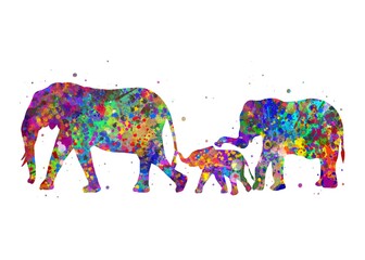 Wall Mural - Elephant Family Animal watercolor, abstract painting. Watercolor illustration rainbow, colorful, decoration wall art.