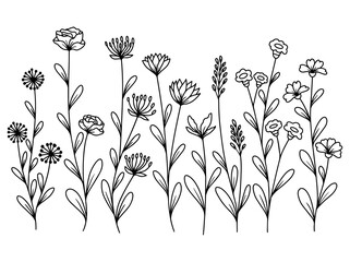 hand drawn flower sketch line art illustration set.