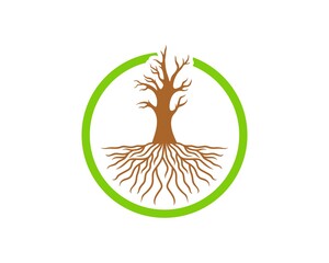 Poster - Circle shape with dry tree and roots inside