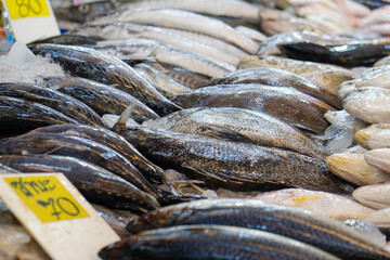 Wall Mural - Various sea fish sell on ice in fresh fishery market