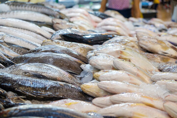 Wall Mural - Various sea fish sell on ice in fresh fishery market