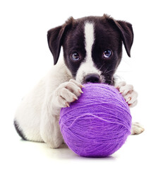 Sticker - Puppy and purple ball.