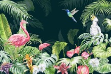 Tropical Forest With Birds, Leaves, Flowers And Plants On Dark Background. Watercolour Nature Illustration.