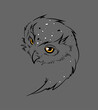 Vector Owl Head with white and orange spots sketch line art illustration isolated on grey. Calm mysterious owl