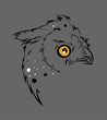 Vector Owl Head with white and orange spots sketch line art illustration isolated on grey. Surprised owl with wide open eyes