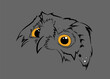 Vector Owl Head with white and orange spots sketch line art illustration isolated on grey. Surprised owl with wide open eyes