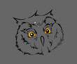 Vector Owl Head with white spots sketch line art illustration isolated on grey.  Funny suspicious owl with wide open eyes