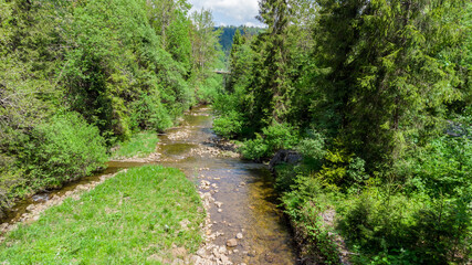 Poster - Creek called Czarna Wiselka. Source creek of the Vistula River.