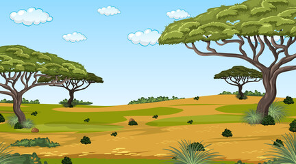 Wall Mural - African forest landscape at daytime scene with many big trees